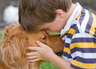 Как выглядит авитаминоз у собаки? Какое питание, добавки и витамины необходимы?