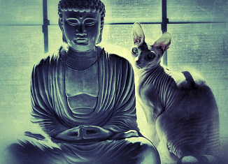 Что на самом деле думают люди о медитации